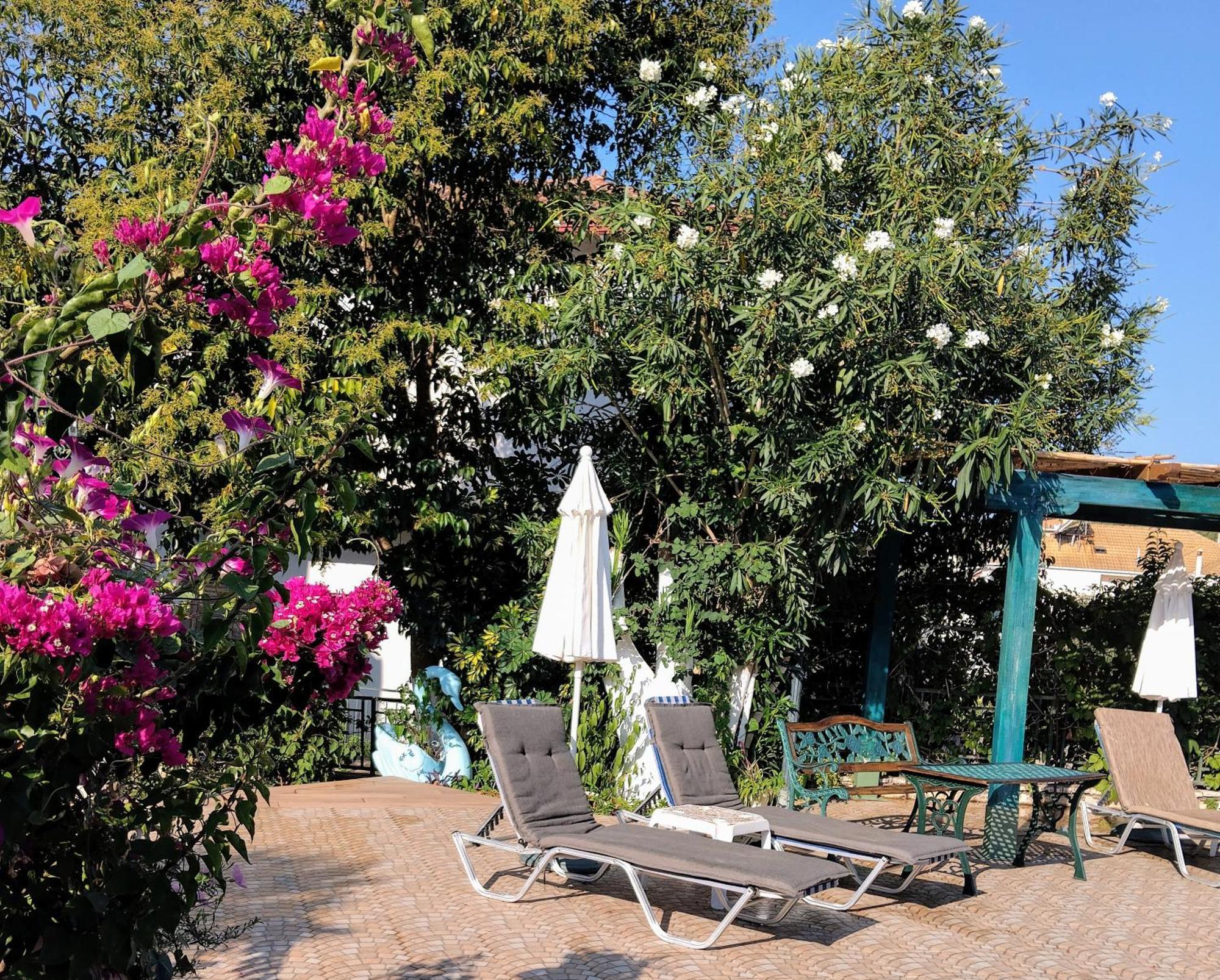 Harmony resort Párga Zewnętrze zdjęcie