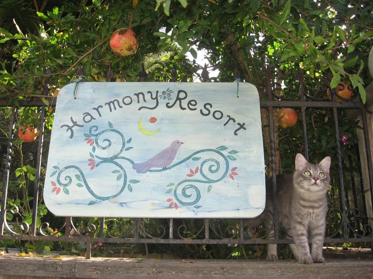 Harmony resort Párga Zewnętrze zdjęcie